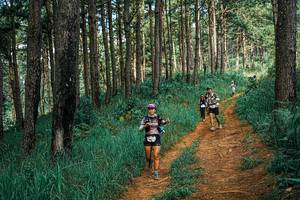 BIB: 
                            <button type="button" onclick="openModal(25747249)" class="btn btn-primary btn-sm float-right btn-popup" data-toggle="modal" data-target=".modal-high-quality">
                        <i class="fas fa-shopping-cart"></i> Add to Cart
                    </button>
                                            <button type="button" onclick="isThisMe(25747249, true)" class="btn btn-success btn-sm float-right btn-popup btn-isme hidden" data-toggle="tooltip" data-placement="bottom" title="นี่คือรูปของคุณใช่ไหม คลิกที่นี่เพื่อเอาเข้าอัลบั้ม">
                        <i class="fas fa-plus"></i> Add to album
                    </button>
                    <button type="button" onclick="isThisMe(25747249, false)" class="btn btn-warning btn-sm float-right btn-popup btn-isnotme hidden">
                        <i class="fas fa-ban"></i> Remove from album
                    </button>